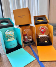 Load image into Gallery viewer, Snow Globe