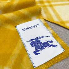 Load image into Gallery viewer, Cashmere Scarf
