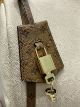 Load image into Gallery viewer, Express Large Bag
