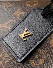 Load image into Gallery viewer, Carryall BB Teddy
