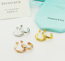 Load image into Gallery viewer, Hoop Earrings
