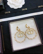 Load image into Gallery viewer, CD Earrings
