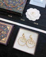 Load image into Gallery viewer, CD Earrings
