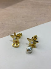 Load image into Gallery viewer, CD Earrings
