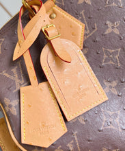 Load image into Gallery viewer, Speedy 40
