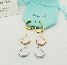 Load image into Gallery viewer, Hoop Earrings
