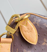 Load image into Gallery viewer, Speedy 40
