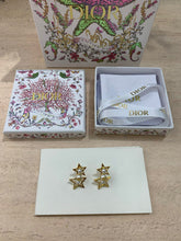 Load image into Gallery viewer, CD Earrings
