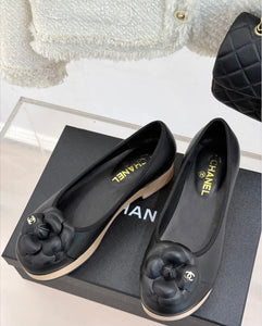CC Pumps