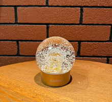 Load image into Gallery viewer, Snow Globe
