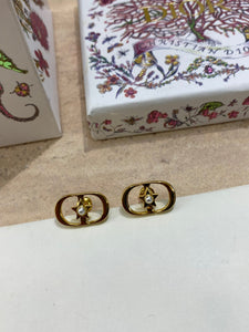 CD Earrings