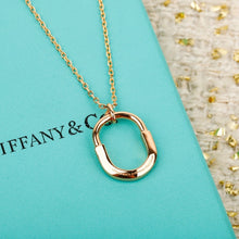 Load image into Gallery viewer, Lock Necklace
