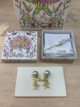 Load image into Gallery viewer, CD Earrings
