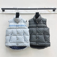 Load image into Gallery viewer, Alps Gilet
