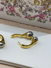 Load image into Gallery viewer, CD Earrings
