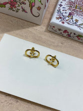 Load image into Gallery viewer, CD Earrings
