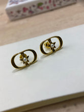 Load image into Gallery viewer, CD Earrings
