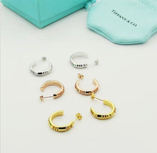Load image into Gallery viewer, Hoop Earrings
