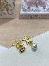 Load image into Gallery viewer, CD Earrings
