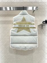 Load image into Gallery viewer, Alps Gilet
