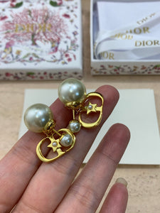 CD Earrings
