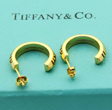Load image into Gallery viewer, Hoop Earrings
