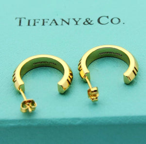 Hoop Earrings
