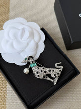 Load image into Gallery viewer, CC Brooch
