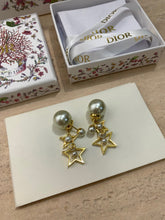 Load image into Gallery viewer, CD Earrings
