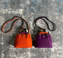 Load image into Gallery viewer, Dianna Mini Bag
