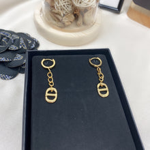 Load image into Gallery viewer, CD Earrings
